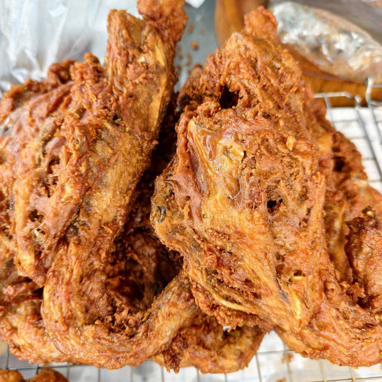 โครงไก่