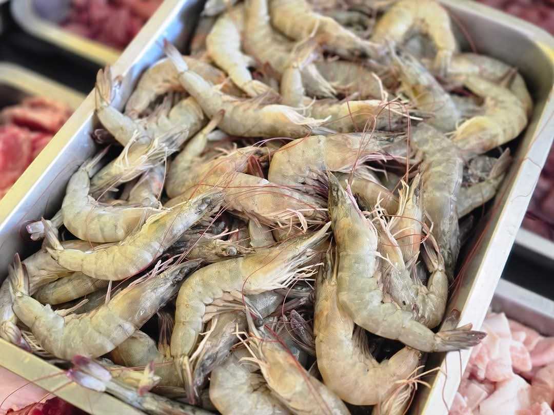 กุ้งขาว